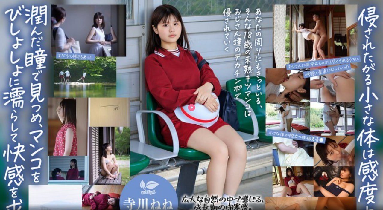 伦理片午夜,メイリン モデルコレクション メ,观看免费无删减完整版